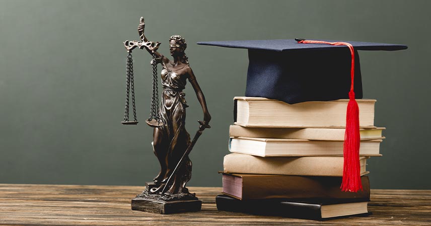 lei bases sistema educativo